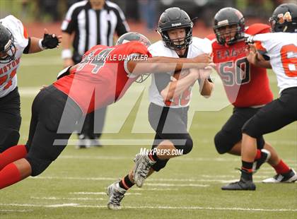 Thumbnail 1 in Springtown @ Diamond Hill-Jarvis photogallery.