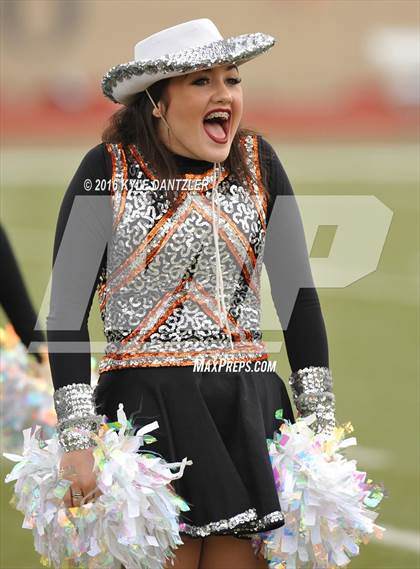 Thumbnail 3 in Springtown @ Diamond Hill-Jarvis photogallery.