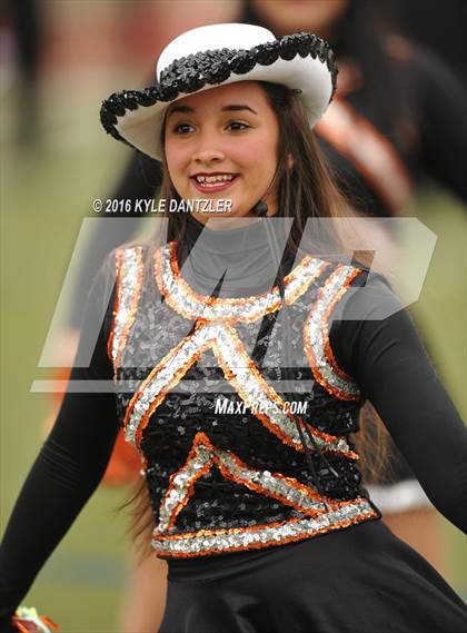 Thumbnail 3 in Springtown @ Diamond Hill-Jarvis photogallery.