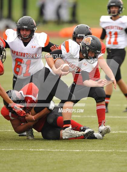 Thumbnail 2 in Springtown @ Diamond Hill-Jarvis photogallery.
