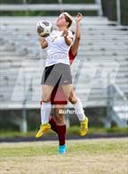 Photo from the gallery "South View @ Douglas Byrd"