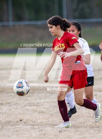 Thumbnail 3 in South View @ Douglas Byrd photogallery.