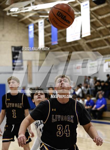 Thumbnail 1 in Live Oak @ Orland photogallery.