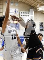 Photo from the gallery "Live Oak @ Orland"