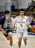 Photo from the gallery "Live Oak @ Orland"