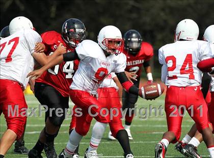 Thumbnail 1 in Kennedy @ Salesian photogallery.