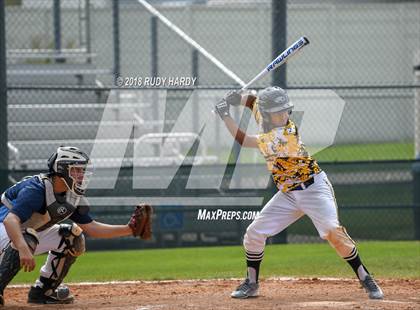 Thumbnail 1 in Alief Elsik @ Spring Woods photogallery.