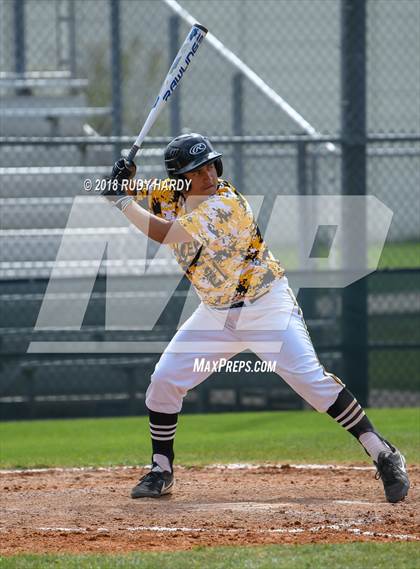 Thumbnail 3 in Alief Elsik @ Spring Woods photogallery.