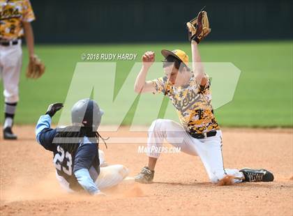 Thumbnail 1 in Alief Elsik @ Spring Woods photogallery.