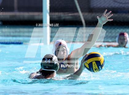 Thumbnail 1 in San Ramon Valley vs. Tamalpais (CIF NCS D1 Final) photogallery.