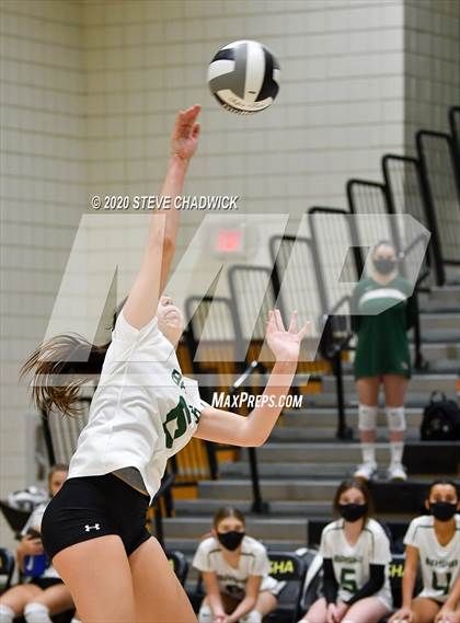 Thumbnail 1 in Hamilton @ Basha photogallery.