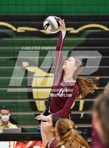 Thumbnail 1 in Hamilton @ Basha photogallery.