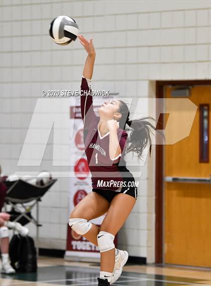 Thumbnail 3 in Hamilton @ Basha photogallery.