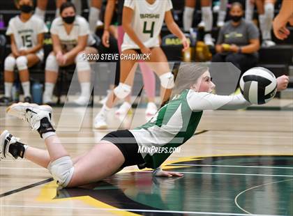 Thumbnail 3 in Hamilton @ Basha photogallery.