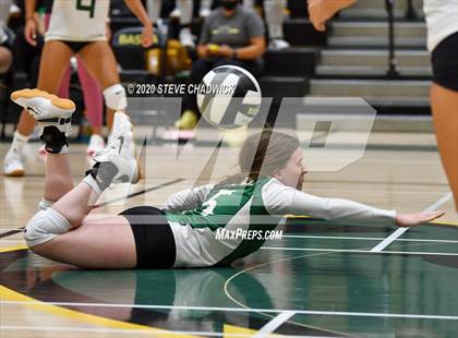 Thumbnail 1 in Hamilton @ Basha photogallery.