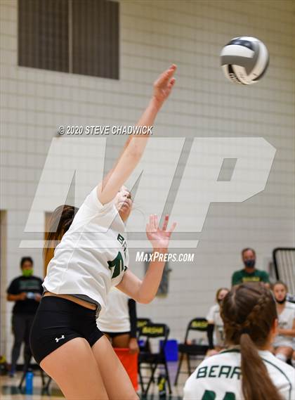 Thumbnail 3 in Hamilton @ Basha photogallery.