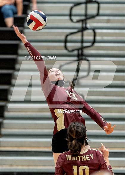 Thumbnail 1 in Whitney @ Del Oro photogallery.