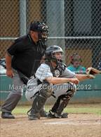 Photo from the gallery "Bella Vista @ Sheldon"