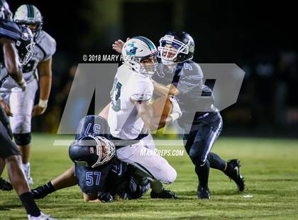 Thumbnail 2 in Tampa Catholic @ Robinson (Scrimmage) photogallery.