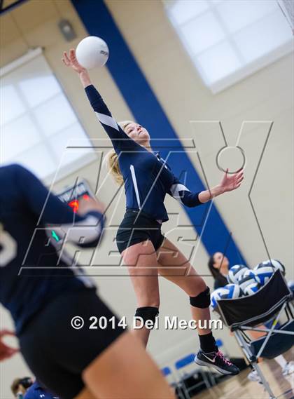 Thumbnail 1 in Vanguard vs. Plant (Berkeley Premier) photogallery.