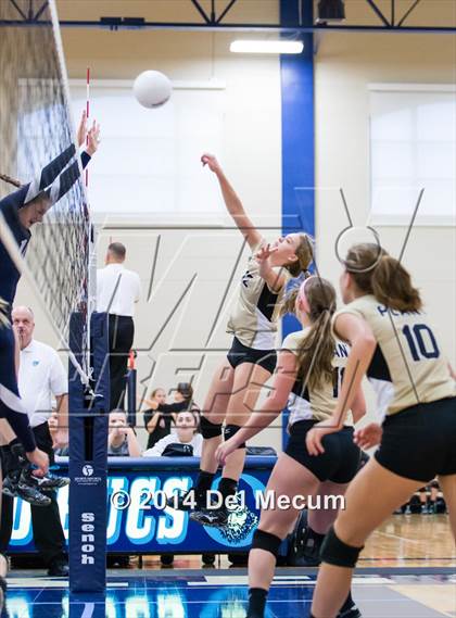 Thumbnail 3 in Vanguard vs. Plant (Berkeley Premier) photogallery.