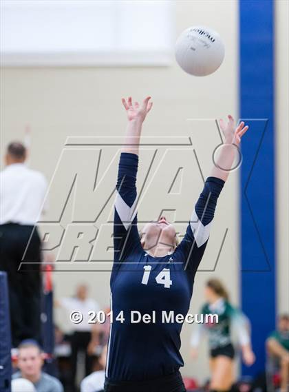 Thumbnail 1 in Vanguard vs. Plant (Berkeley Premier) photogallery.