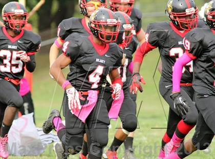 Thumbnail 3 in Patapsco @ Dulaney photogallery.