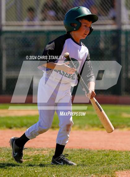 Thumbnail 2 in Buckeye @ Youngker photogallery.