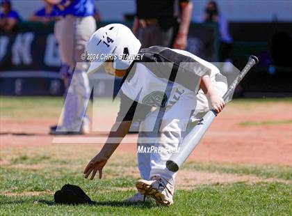Thumbnail 1 in Buckeye @ Youngker photogallery.