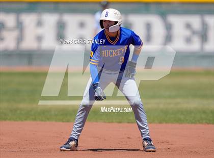 Thumbnail 1 in Buckeye @ Youngker photogallery.