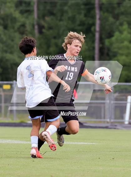 Thumbnail 3 in South Lenoir @ Havelock photogallery.