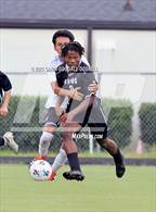 Photo from the gallery "South Lenoir @ Havelock"