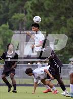 Photo from the gallery "South Lenoir @ Havelock"