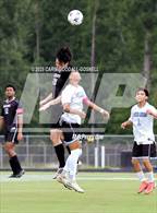 Photo from the gallery "South Lenoir @ Havelock"