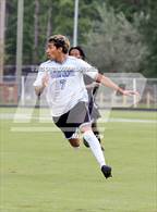 Photo from the gallery "South Lenoir @ Havelock"