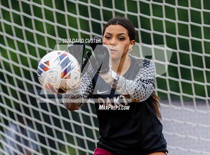 Thumbnail 3 in Chantilly @ Oakton (Concorde District Semifinal) photogallery.