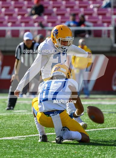 2019 - Photo #5