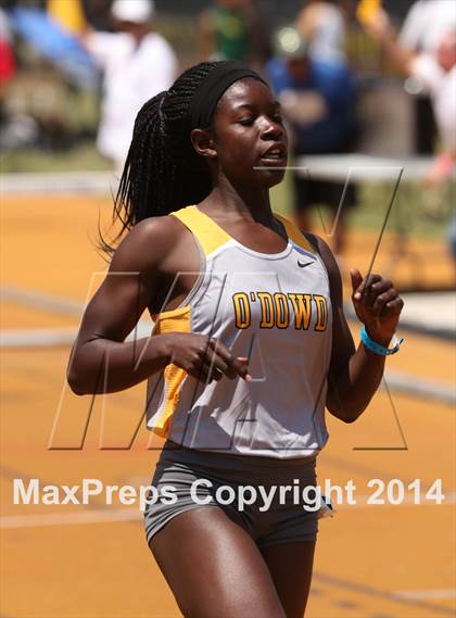 Thumbnail 1 in CIF NCS Masters Track and Field (Girls 100 Meter Hurdles Prelims and Finals) photogallery.