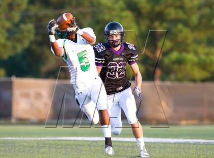 Thumbnail 3 in Myers Park @ Ardrey Kell photogallery.