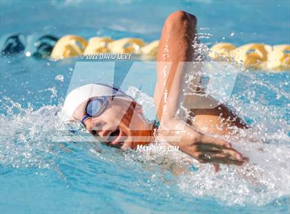Thumbnail 1 in AIA D2 Swim Finals photogallery.