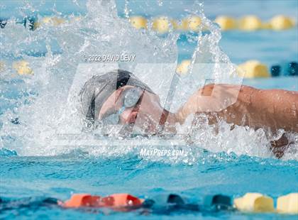 Thumbnail 1 in AIA D2 Swim Finals photogallery.