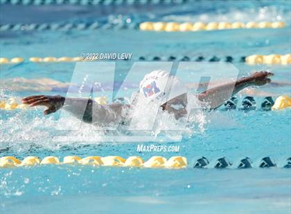 Thumbnail 3 in AIA D2 Swim Finals photogallery.