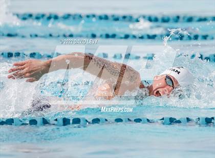 Thumbnail 1 in AIA D2 Swim Finals photogallery.