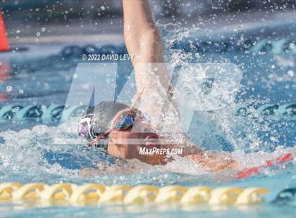 Thumbnail 3 in AIA D2 Swim Finals photogallery.