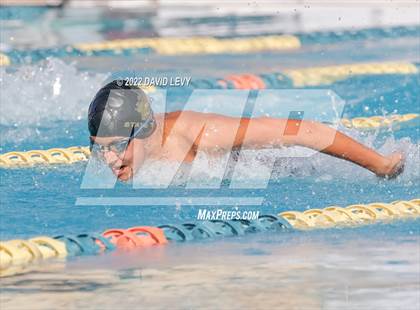 Thumbnail 3 in AIA D2 Swim Finals photogallery.