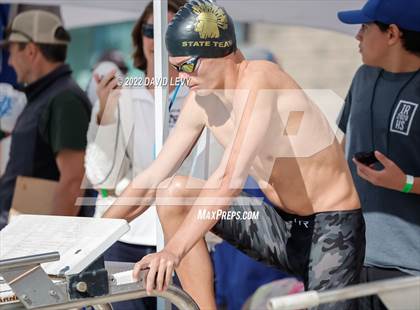 Thumbnail 3 in AIA D2 Swim Finals photogallery.