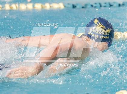 Thumbnail 3 in AIA D2 Swim Finals photogallery.