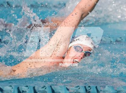 Thumbnail 1 in AIA D2 Swim Finals photogallery.