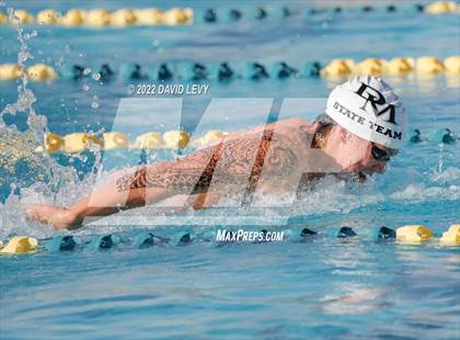 Thumbnail 2 in AIA D2 Swim Finals photogallery.