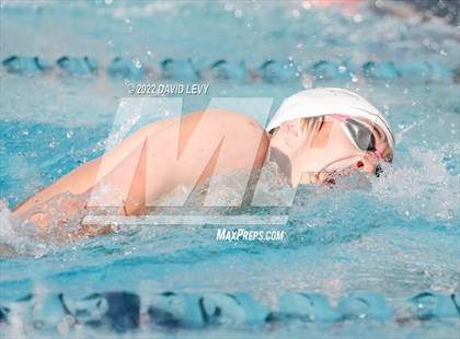 Thumbnail 2 in AIA D2 Swim Finals photogallery.